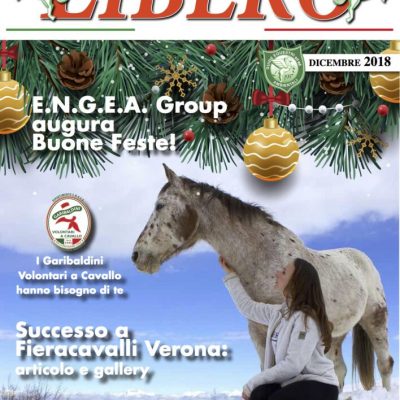 copertina dicembre